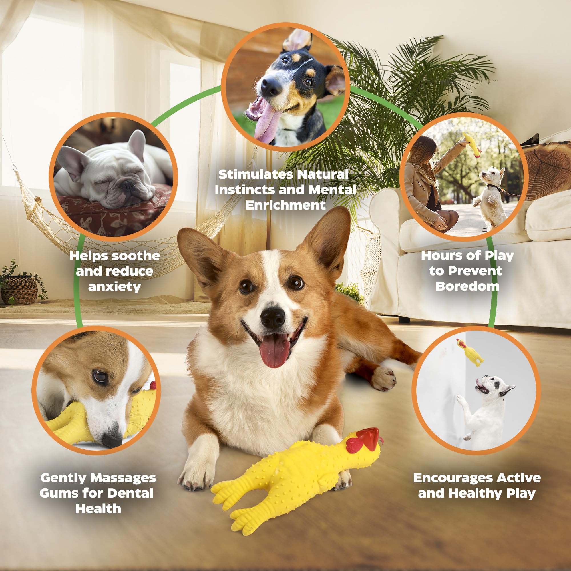 Baba Buddies 100% Natural Latex Squeaky Dog | Durable Rubber Chicken Chew Toy for Small & Large Dogs | Funny Screaming Chicken |
